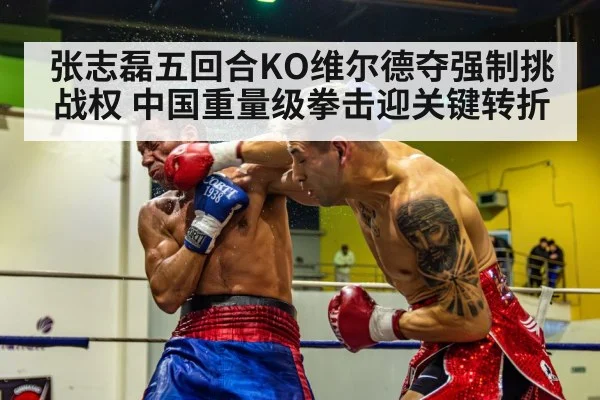 张志磊五回合KO维尔德夺强制挑战权 中国重量级拳击迎关键转折